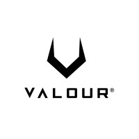 VALOUR logo - Similar company to Maraya Training