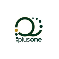 Plus One logo - Similar company to Laurel Interiors