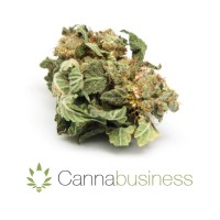 Cannabusiness Australia logo - Similar company to Delta 9 Medicinal