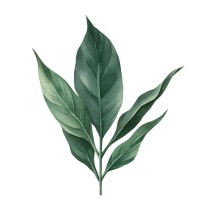 coLiberate ventures logo - Similar company to Myelinated Solutions, Llc.™️