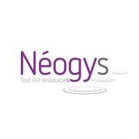 NEOGYS logo - Similar company to Sylvie-Lopes