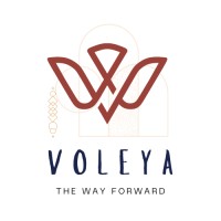 Voleya logo - Similar company to 4Insights