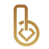 Brilliant Bosses logo - Similar company to Open2Grow (Dominique Van Dam)  Coaching, Training En Advisering