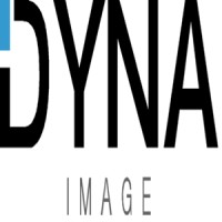 Dyna Image Corperation logo - Similar company to Savitech Corp.