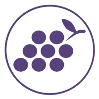 Cyber Grapes Services logo - Similar company to Cybexplore