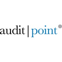 AuditPoint logo - Similar company to Audit Point