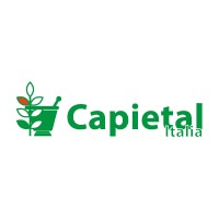 Capietal Italia srl logo - Similar company to Procure Solutions