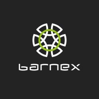 BARNEX (Commercial) logo - Similar company to Gulfstream Security Systems