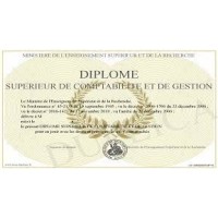 DSCG logo - Similar company to Dscg