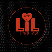 LILverse.CH logo - Similar company to Amlcrypto