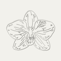 Her Third Place logo - Similar company to Hellotalents