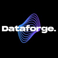Dataforge Consulting logo - Similar company to Dataforge