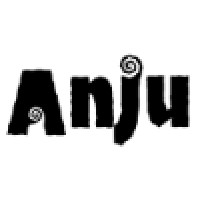 Anju Jewelry logo - Similar company to Accessories Direct