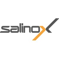 Salinox logo - Similar company to Invision By Doukas