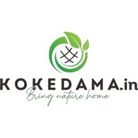 kokedama.in logo - Similar company to Rainbow Ceramics