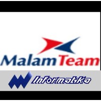 Informatika Ltd. (MalamTeam) logo - Similar company to Codeo Ltd