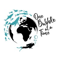 One Bubble At A Time