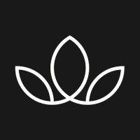Wildsprout logo - Similar company to Dsi - Dreamstate Interactive