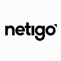 Netigo GmbH logo - Similar company to Punkt.De Gmbh