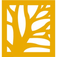 The Oil Tree