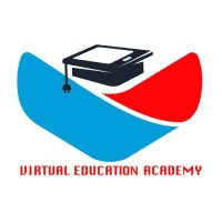Virtual Education Academy logo - Similar company to Laylow Creative House