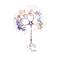 Neuropsicologia e Psicologia Cognitivo Comportamental - Consultório Particular logo - Similar company to Neuropsicologia Clinica - Dott.Ssa Aleksandra Podgorska