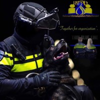Nationaal Informatieplatform PolitieDiensten {NIPD} logo - Similar company to The Force