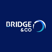 Bridge & Co. logo - Similar company to Bfg Consult