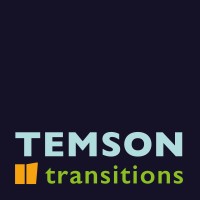 Temson Transitions (Temson B.V.) logo - Similar company to Kozmik Global Enerji Ve Mühendislik