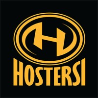 Hostersi logo - Similar company to Netwise: Excellence In Crm And Power Platform