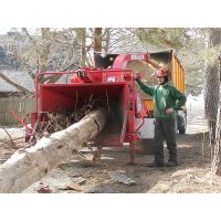 Toronto Tree Removal