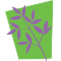 New Rubric Solutions