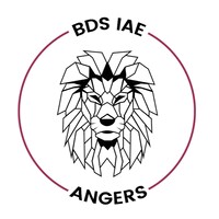 BDS IAE ANGERS logo - Similar company to Bde Iae Angers
