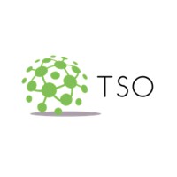 TSO Consultants Pvt. Ltd. logo - Similar company to Itss (India) Private Limited