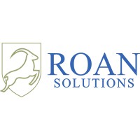Roan Solutions logo - Similar company to The Tech Evolution