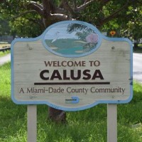 Save Calusa