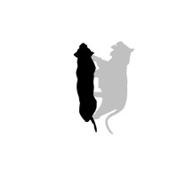 Warrior Stripes logo - Similar company to Upforge Consulting