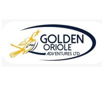 Golden Oriole Adventures Limited logo - Similar company to Pulse Narrative Media