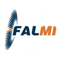 FALMI logo - Similar company to Takwindz-B2B
