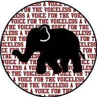 RAISE Humane Foundation logo - Similar company to Clara Baldwin Stocker Home