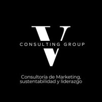 VCG - Consulting logo - Similar company to Directa Chile