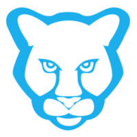 Copypanthers logo - Similar company to Wordapp.Com
