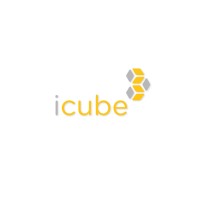 iCube - Direction informatique Castel logo - Similar company to Icube