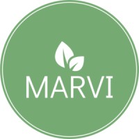 Marvi logo - Similar company to Marvi