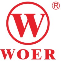 WOER NEW ENERGY logo - Similar company to Valar Technology Limited