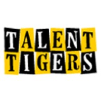TalentTigers logo - Similar company to Unique Computech