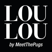 Meet The Pugs