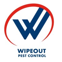 Wipeout Pest Control logo - Similar company to Ideal Services Llc ® (Pest Control, Tank Cleaning, Ac Duct Cleaning, Ac Maintenance)