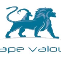 Cape Valour Services Pvt. Ltd. logo - Similar company to Pro Integrated Services Limited