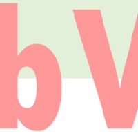 bigVita logo - Similar company to Activegear®